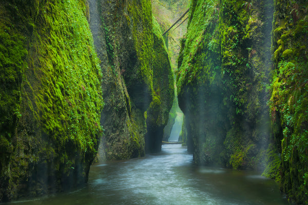 Oneonta Gorge photography by Lijah Hanley. 