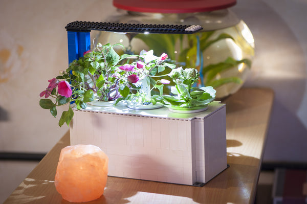 A Lego Indoor Herb Garden-DIY garden