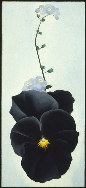 Georgia O'Keeffe's painting of a Black Pansy