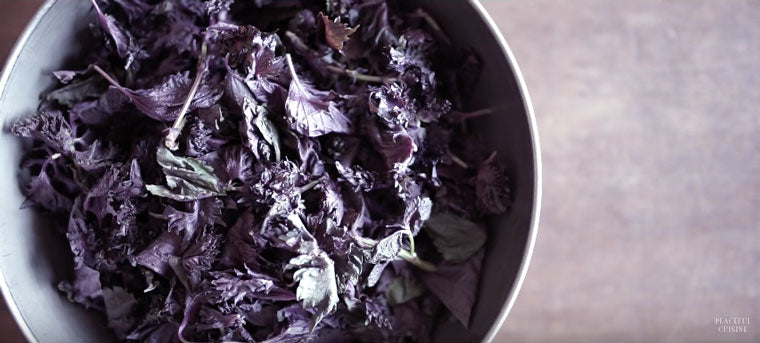 How to Make Red Shiso Juice by Peaceful Cuisine | Click & Grow Blog