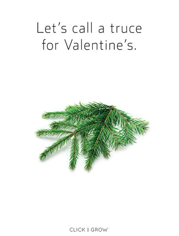 Plant puns spruce