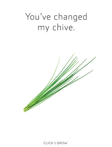 Plant puns chives