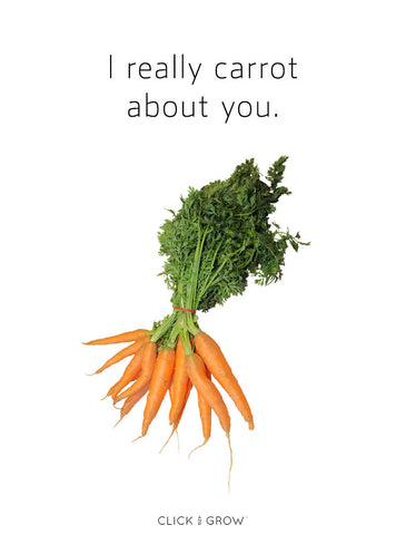 Plant puns carrots