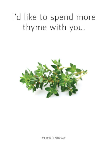 Plant puns thyme