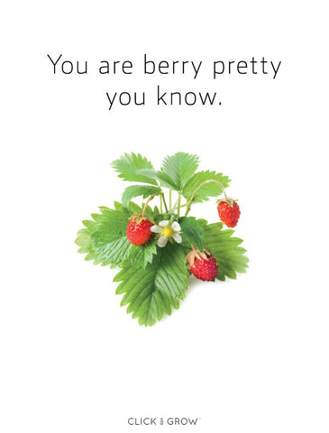 Plant puns wild strawberries