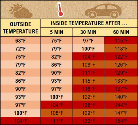 BOLLI-Dog-Owner-Jacket-Heatstroke-Temperature-Table