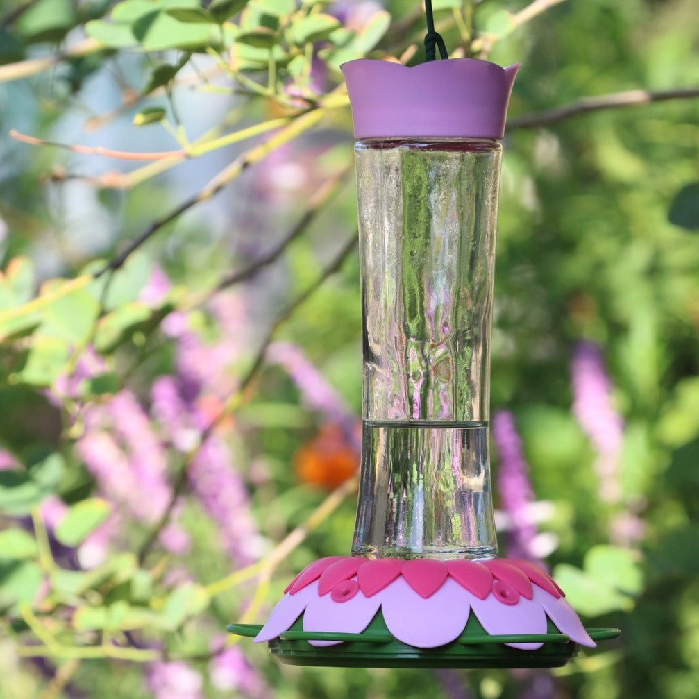 Fuchsia Hummingbird Feeder 