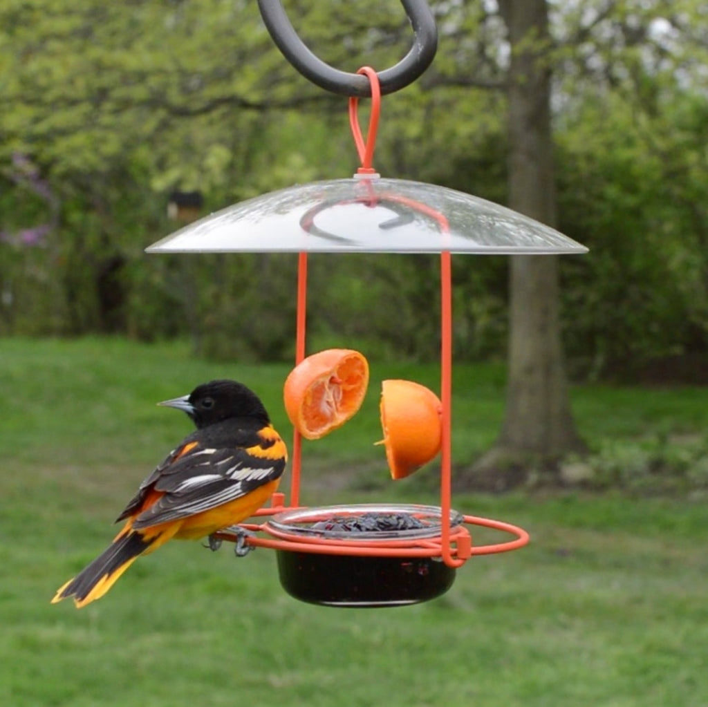 jam bird feeder