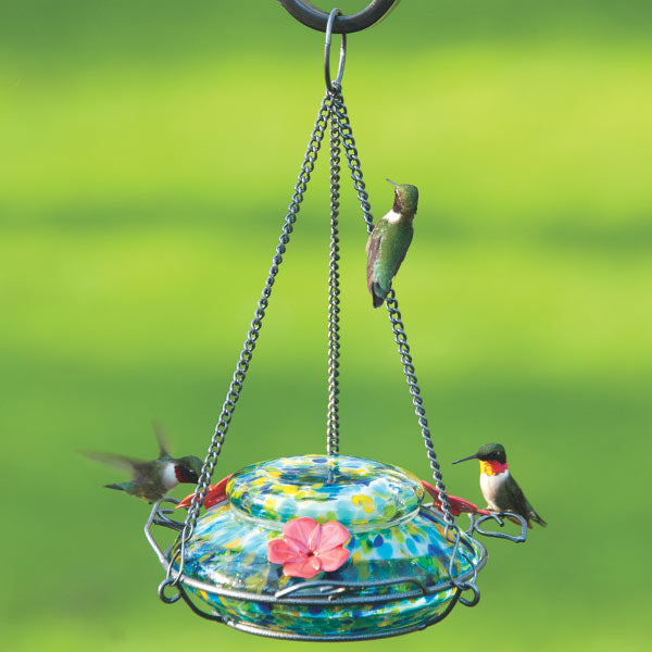 cheap hummingbird feeders