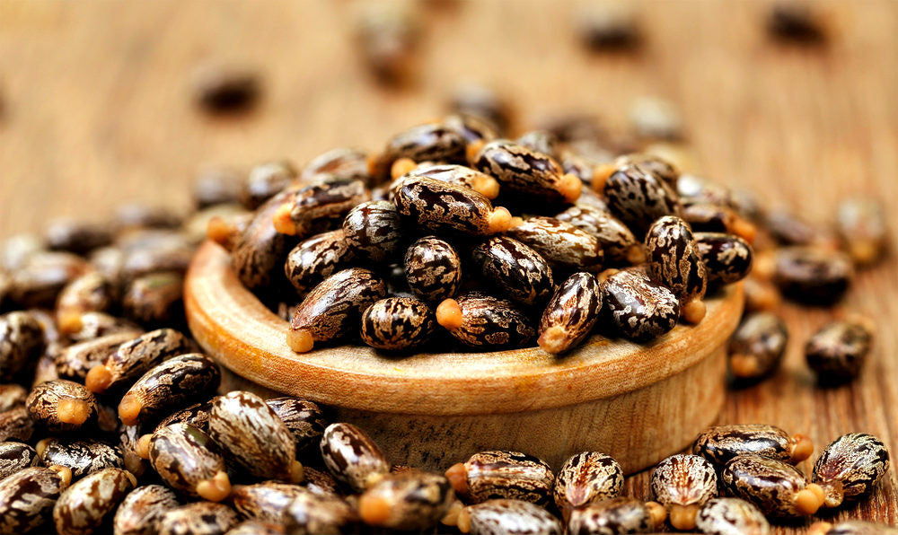 Ingredient Spotlight: Castor Oil Benefits in Skin Care