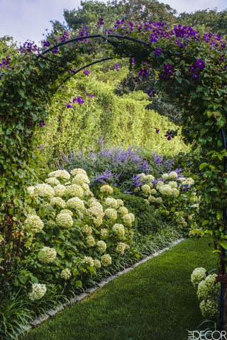 Ina Garten Hydrangea Arch Garden Provence Cottage Garden Ideas Inspiration