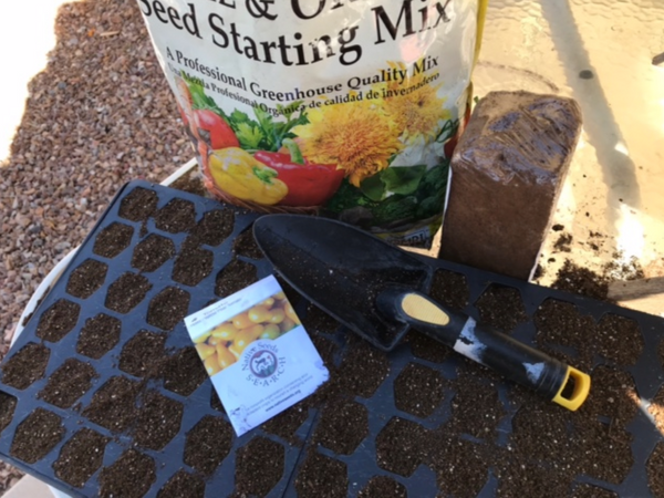 seed starting tools