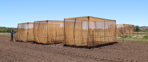 isolation tents farming