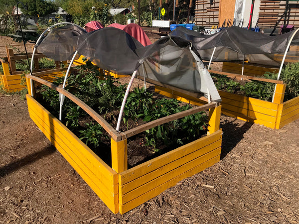 shade cloth helps protect plants from harsh desert sun