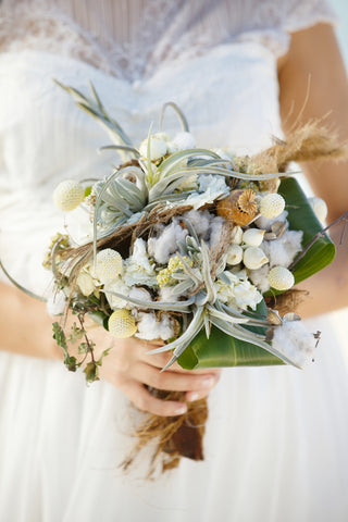 Tillandsia Air Plants incorporated into a Bride's Bouquet