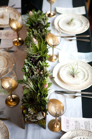 tillandsia air plant place setting 