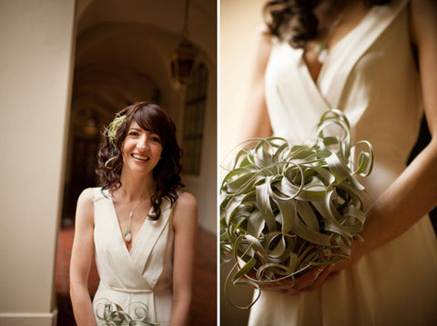 A Bride Holds a Single Tillandsia Xerographica Air Plant as her Bouquet