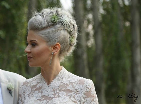 Tillandsia Air Plants Clipped into a Bride's Hair