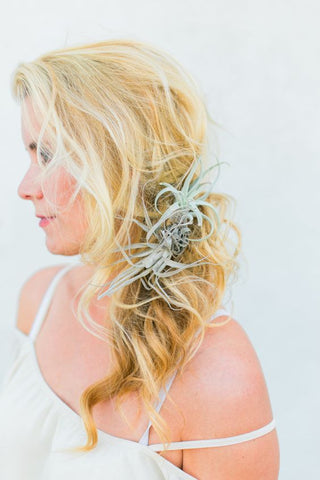 Tillandsia Air Plants Clipped into a Bride's Hair