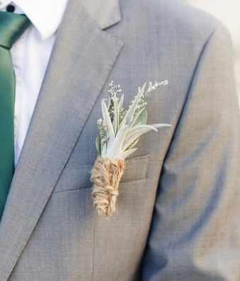 Beach styled air plant boutonniere 