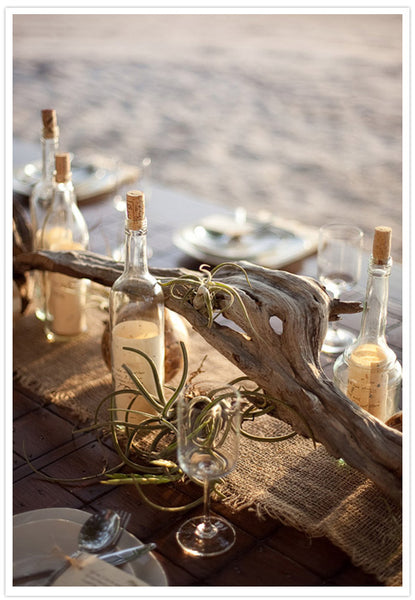 Tillandsia Air Plants on a Piece of Grapevine Wood as a Table Setting