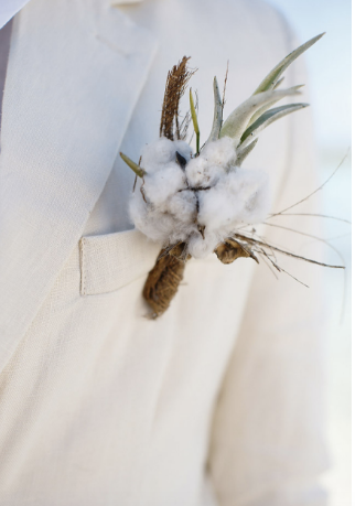 beach air plant wedding boutonniere