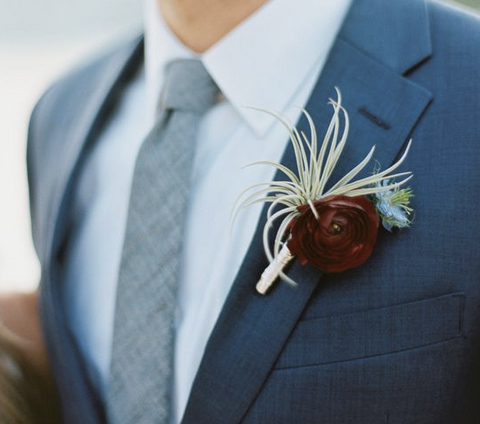 classic ionantha wedding boutonniere