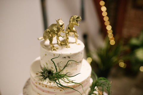 air plant wedding cake