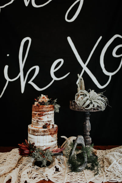 Fall inspired Tillandsia air plant wedding cake