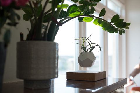 FLYTE hovering planter