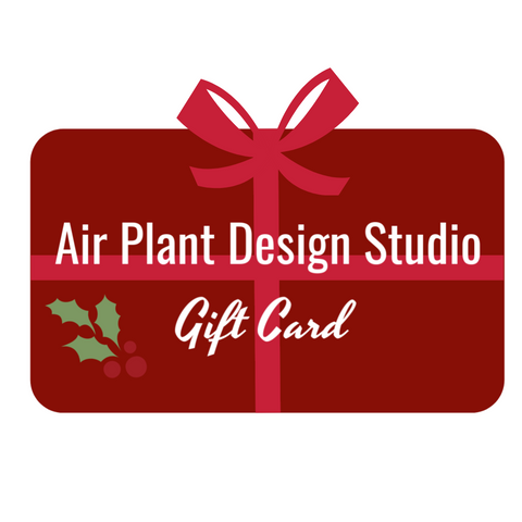 Air Plant Design Studio Gift Card 