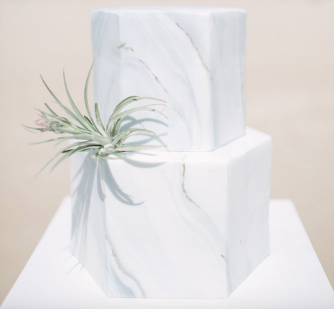 air plant wedding cake
