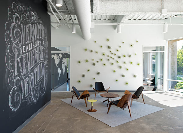Air Plant Wall At Evernote: Design Milk