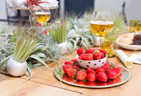 air plant and wish farms tablescape