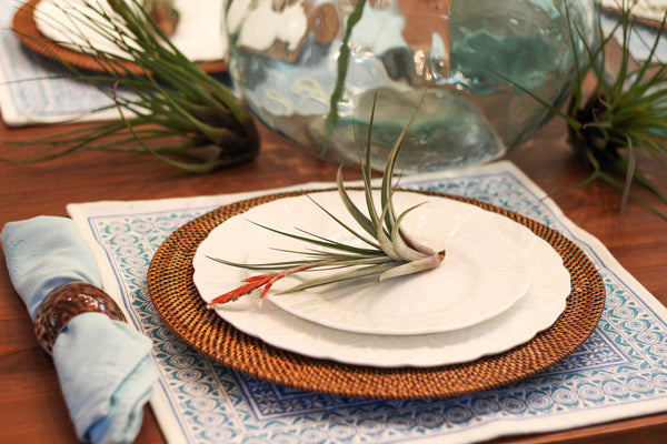 air plant place setting