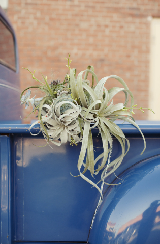 vintage air plant wedding bouquet