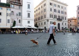 dog in rome