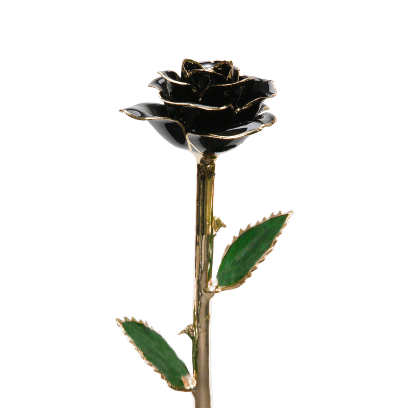 24K Gold Dipped Rose – Black