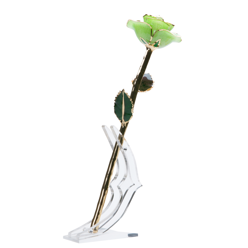 24K Gold Dipped Rose – Lime Green