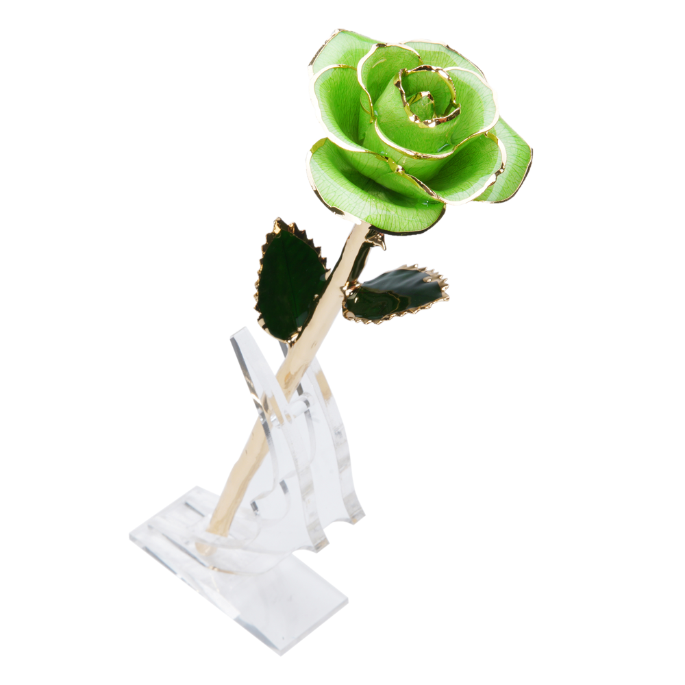 24K Gold Dipped Rose – Lime Green