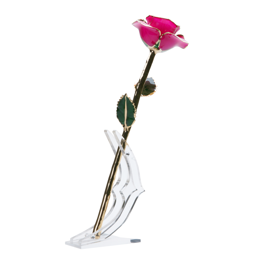 24K Gold Dipped Rose – Hot Pink