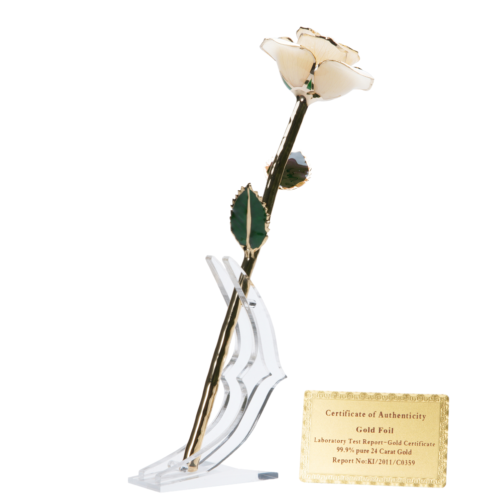24K Gold Dipped Rose – Pearl White