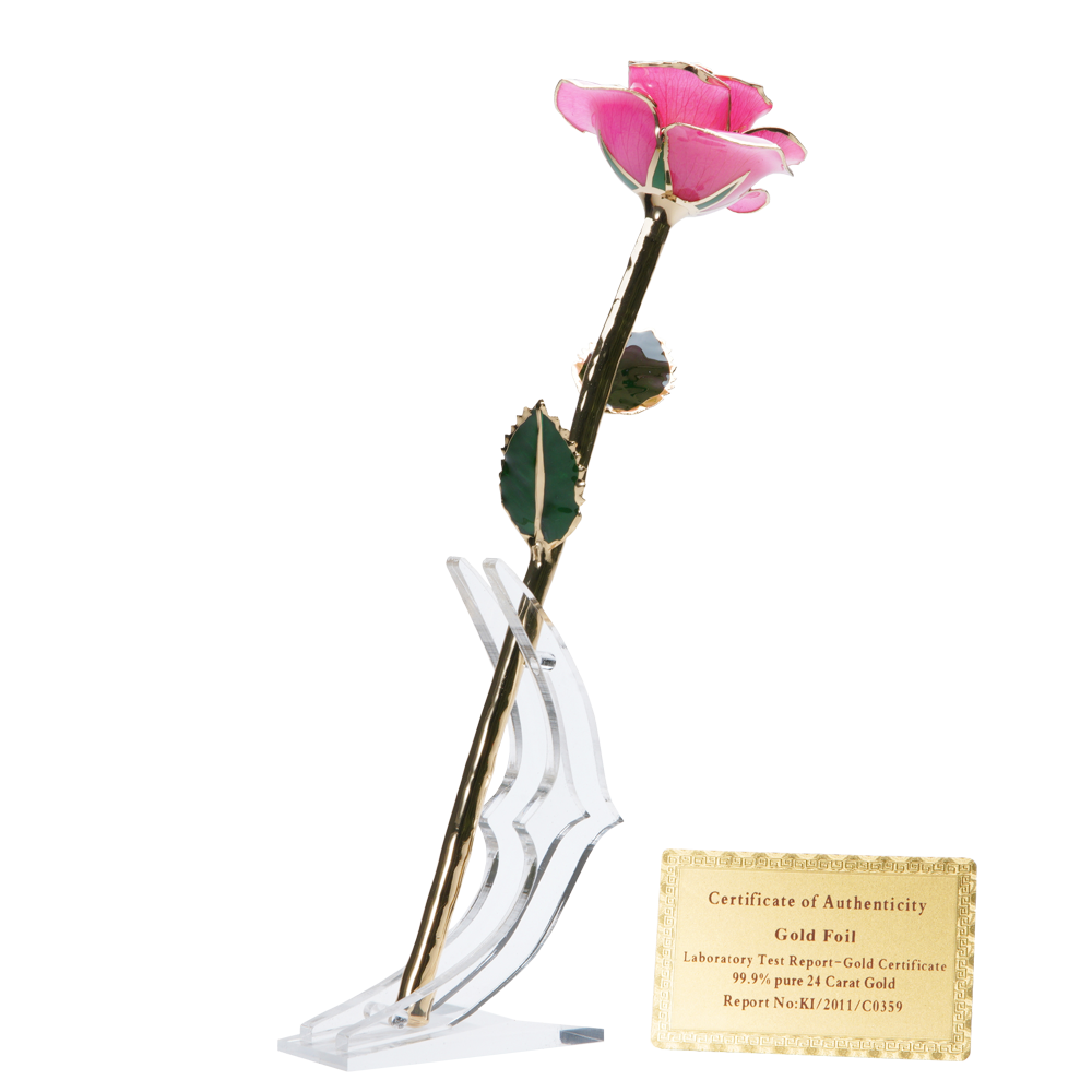 24K Gold Dipped Rose – Pink