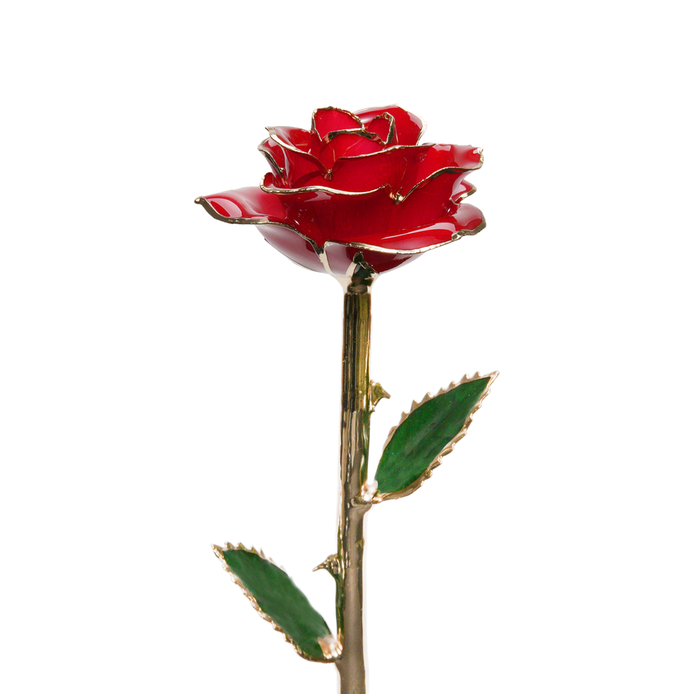 24K Gold Dipped Rose – Red