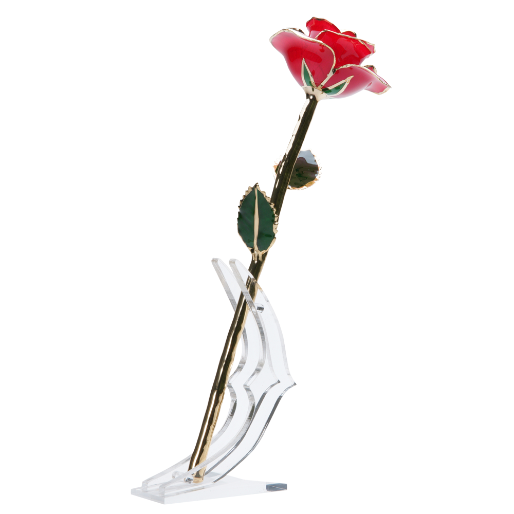 24K Gold Dipped Rose – Red