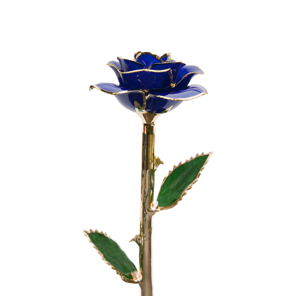24K Gold Dipped Rose – Royal Blue