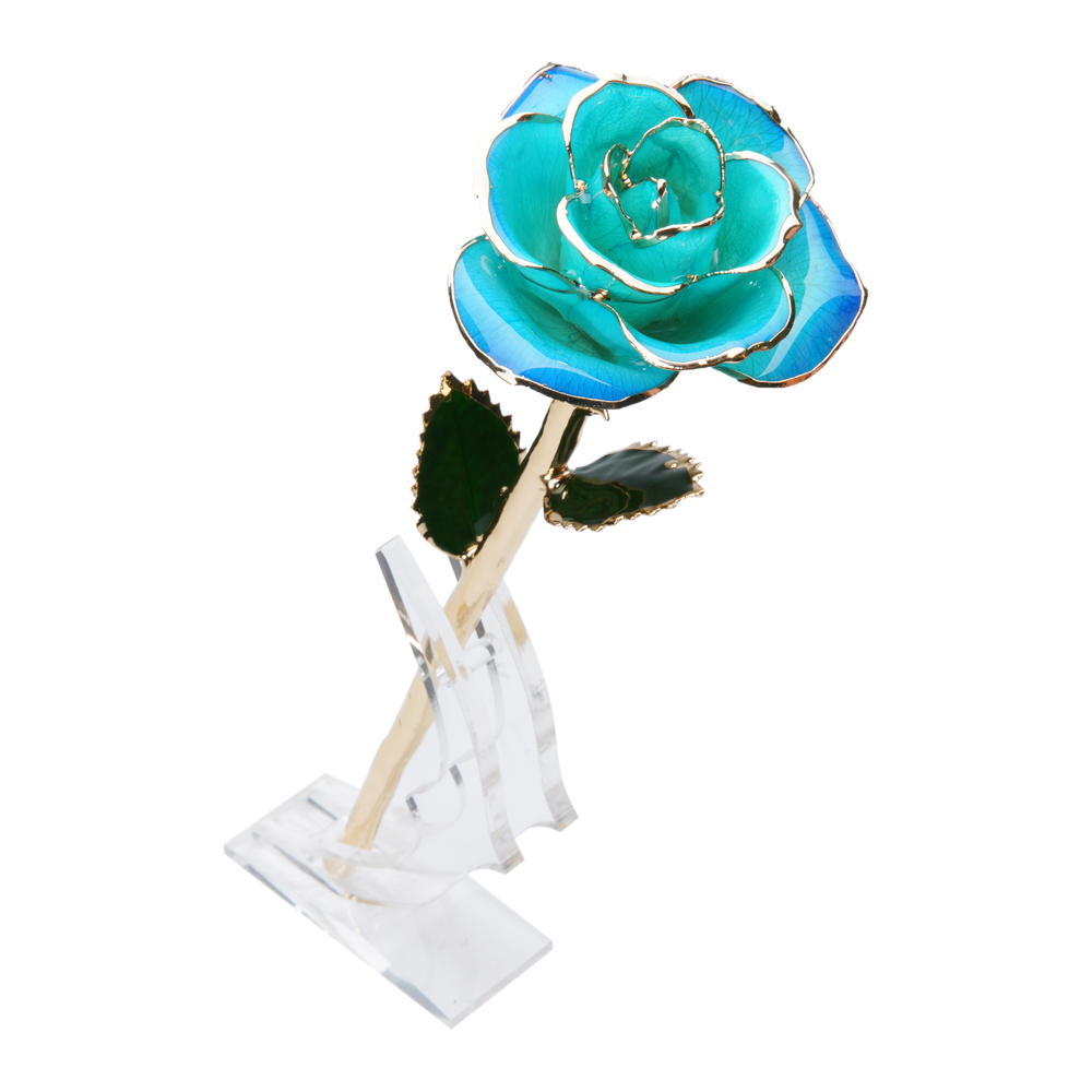 24K Gold Dipped Rose – Tiffany Blue