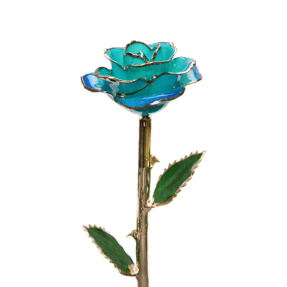 24K Gold Dipped Rose – Tiffany Blue