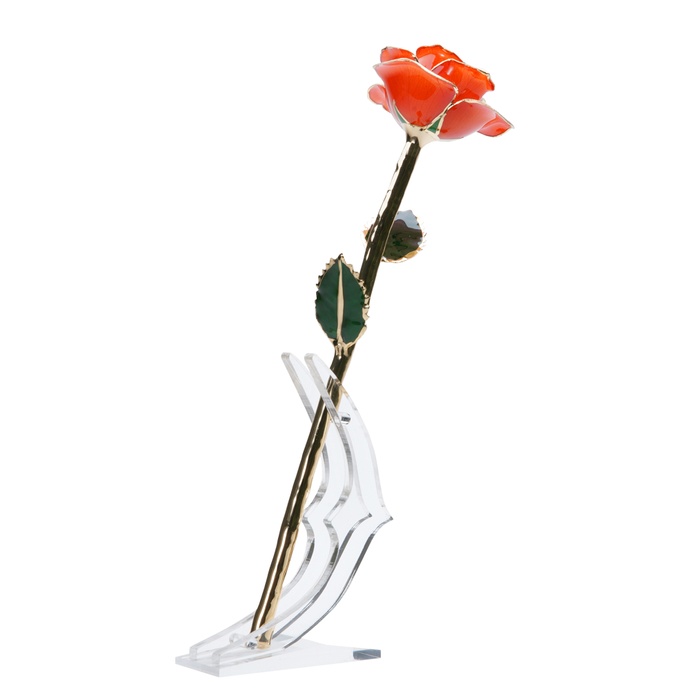 24K Gold Dipped Rose – Orange