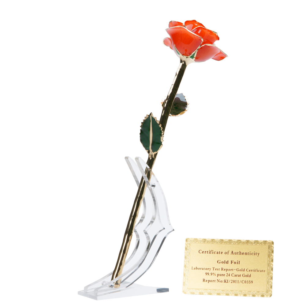 24K Gold Dipped Rose – Orange